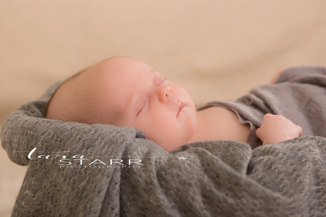 Reading Newborn Photographer, Massachusetts Newborn Photographer, Organic Custom Photography, Reading Family Photographer, Family Portraits, In Studio Portraits, Baby Photography, Massachusetts Baby Portraits,