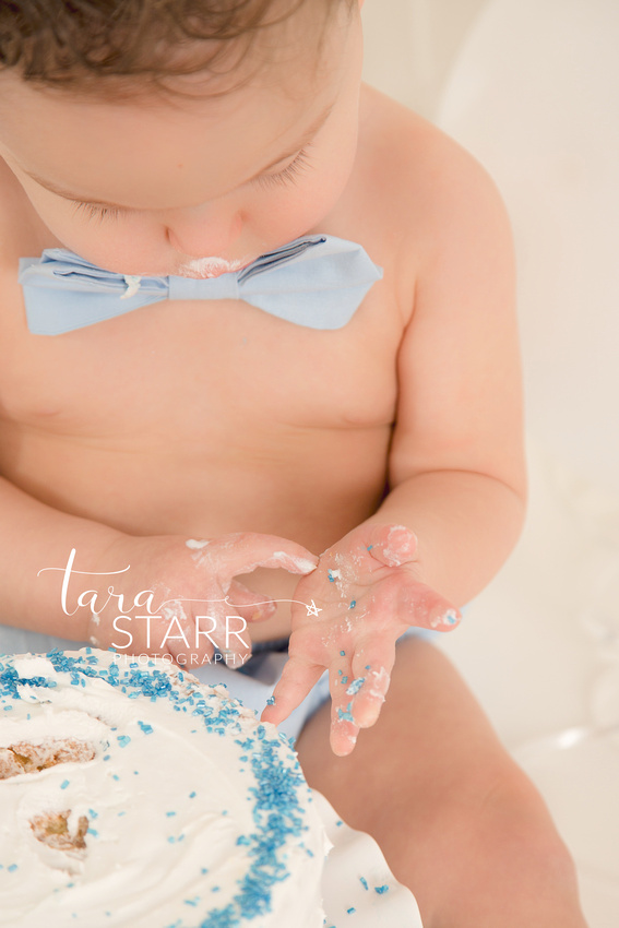 Boston Massachusetts Cake Smash First Birthday Pictures