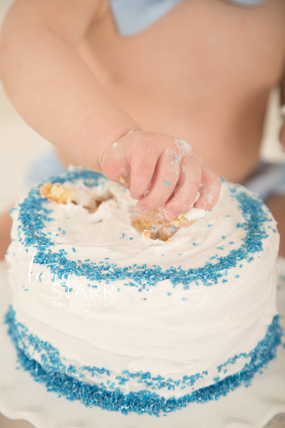 Boston Massachusetts Cake Smash First Birthday Pictures