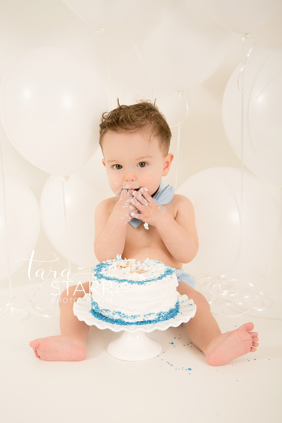 Boston Massachusetts Cake Smash First Birthday Pictures